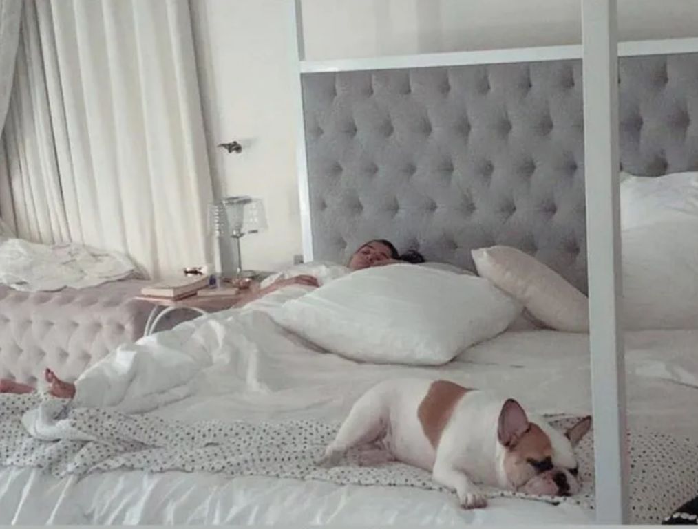 samantha ruth prabhu house